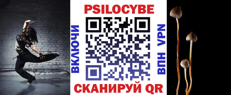 Псилоцибиновые грибы MAGIC MUSHROOMS  дарнет шоп  Волжск 