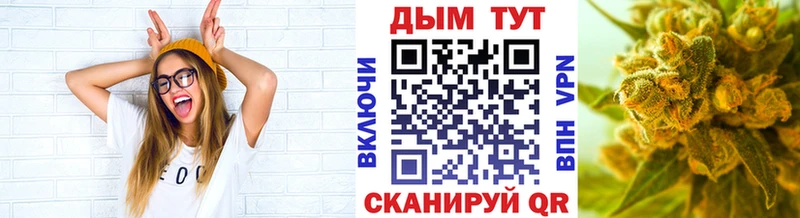 Конопля сатива где найти наркотики Волжск